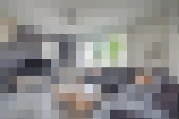 Pasmanshaard 25 Ruurlo thumbnail 7