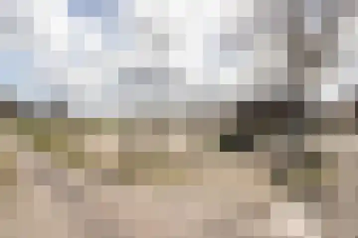 Pasop 58 Midwolde thumbnail 10