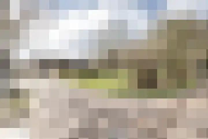 Pasop 58 Midwolde thumbnail 12