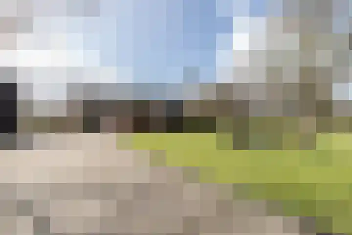 Pasop 58 Midwolde thumbnail 13