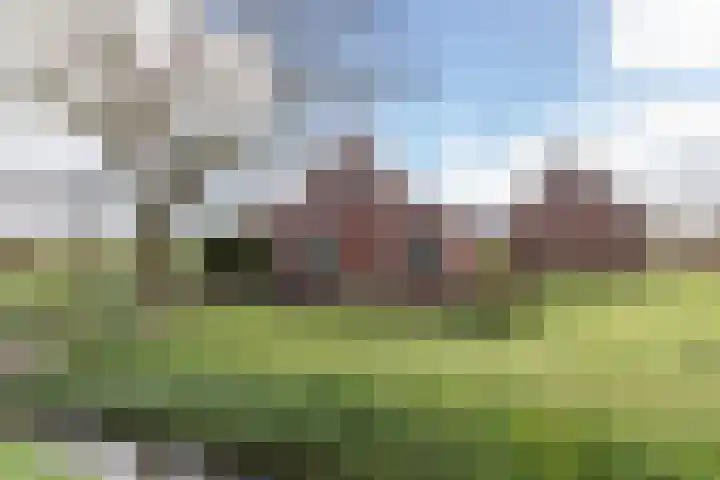 Pasop 58 Midwolde thumbnail 4