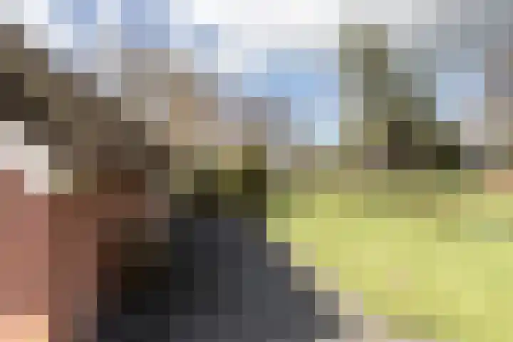 Pasop 58 Midwolde thumbnail 43