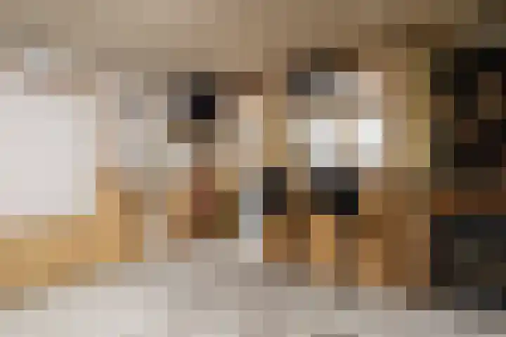 Pasop 58 Midwolde thumbnail 47