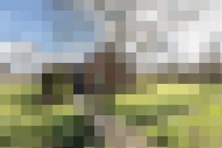 Pasop 58 Midwolde thumbnail 50