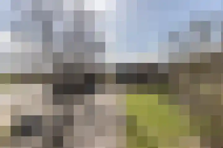 Pasop 58 Midwolde thumbnail 7
