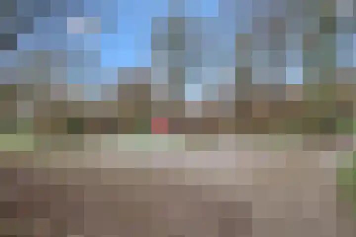 Pasqualinilaan 6 IJsselstein thumbnail 50