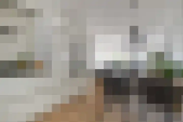 Passaat 60 Zeewolde thumbnail 12