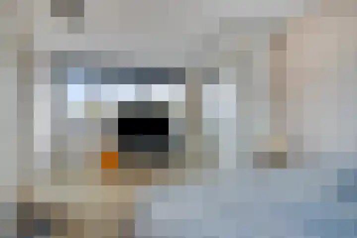 Passaat 60 Zeewolde thumbnail 26