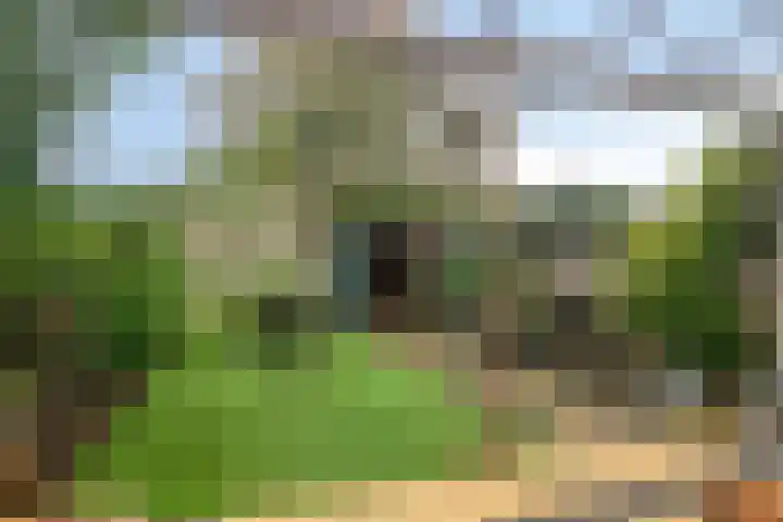 Passaat 60 Zeewolde thumbnail 28