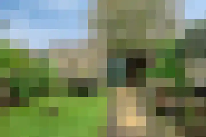 Passaat 60 Zeewolde thumbnail 29