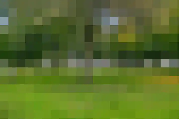 Passaat 60 Zeewolde thumbnail 32