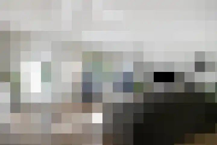Passaat 60 Zeewolde thumbnail 6