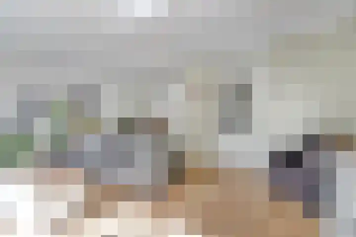 Passaat 60 Zeewolde thumbnail 8
