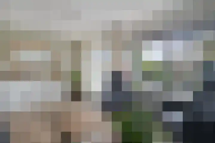 Passaat 60 Zeewolde thumbnail 9