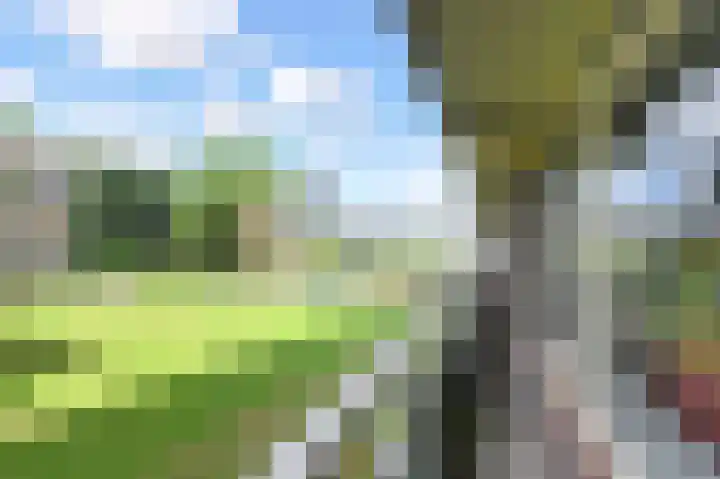 Passage 132 Waddinxveen thumbnail 23