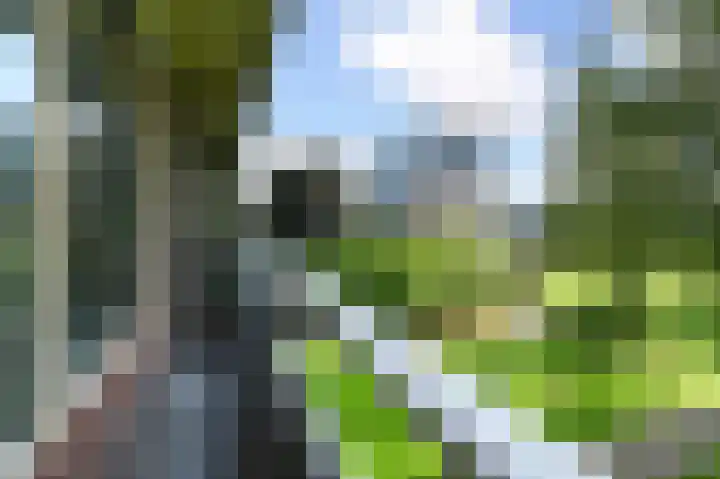 Passage 26 Waddinxveen thumbnail 25