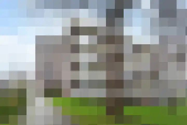 Passage 36 Waddinxveen thumbnail 25