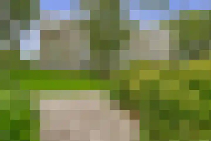 Passage 38 Waddinxveen thumbnail 5