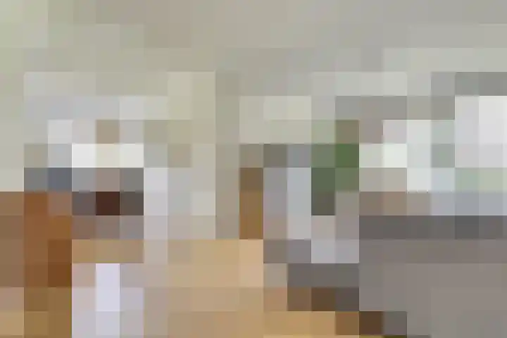 Passage 80 Waddinxveen thumbnail 13