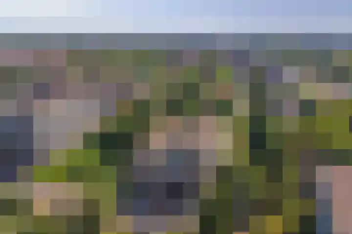 Passage 80 Waddinxveen thumbnail 27