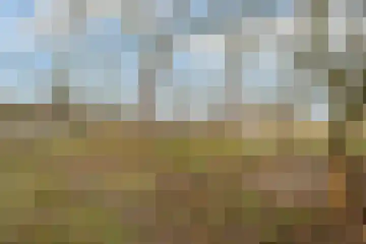 Passartweg 39 Heerlen thumbnail 38