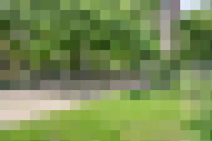 Passavantlaan 36 Arnhem thumbnail 28