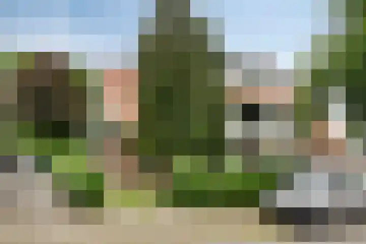 Passavantlaan 36 Arnhem thumbnail 34