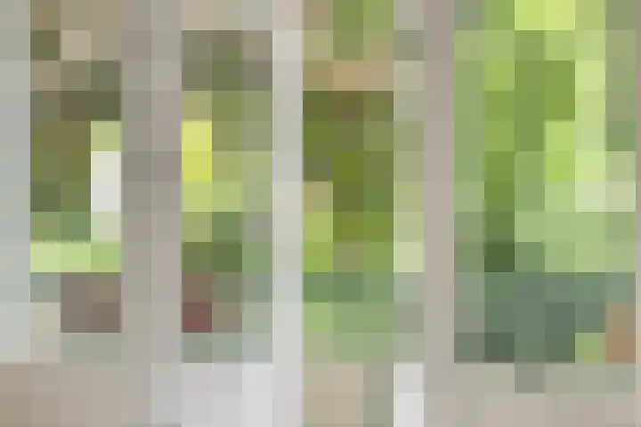 Passavantlaan 36 Arnhem thumbnail 4