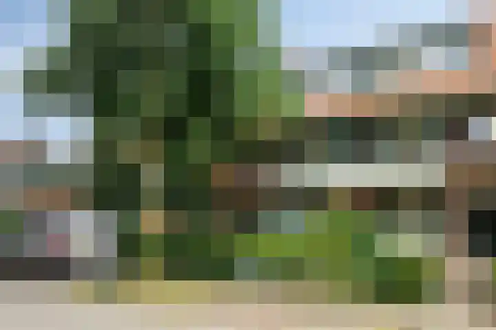 Passavantlaan 36 Arnhem thumbnail 5