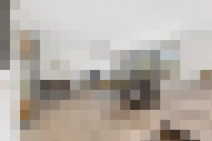 Passiebloemweg 3 Almere thumbnail 13