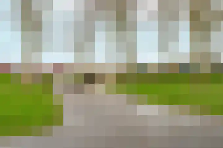 Passiebloemweg 3 Almere thumbnail 29