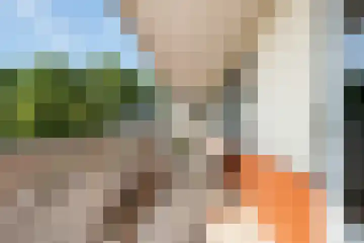 Passiebloemweg 31 Almere thumbnail 21