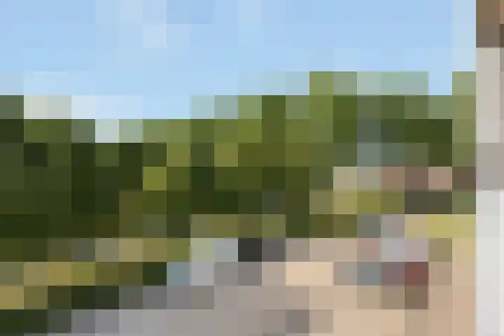Passiebloemweg 31 Almere thumbnail 23