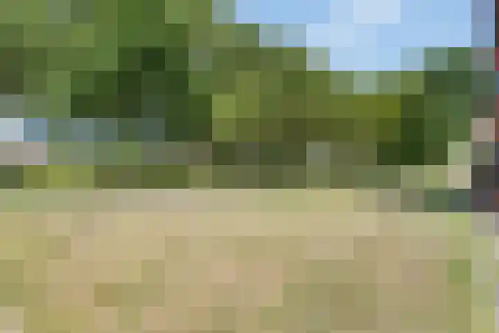 Passiebloemweg 31 Almere thumbnail 25