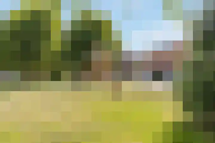Passiebloemweg 31 Almere thumbnail 28