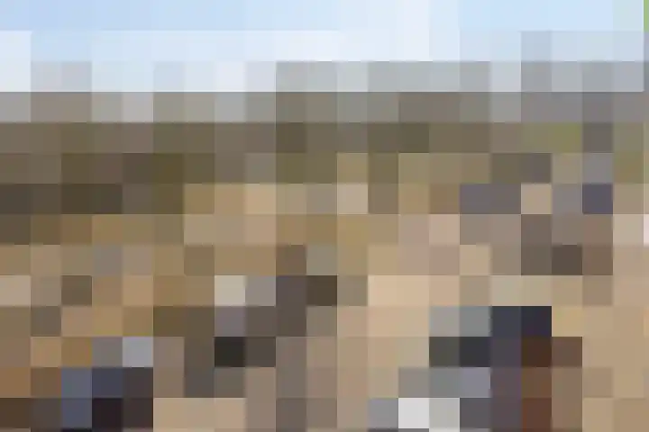 Passiebloemweg 67 Almere thumbnail 36