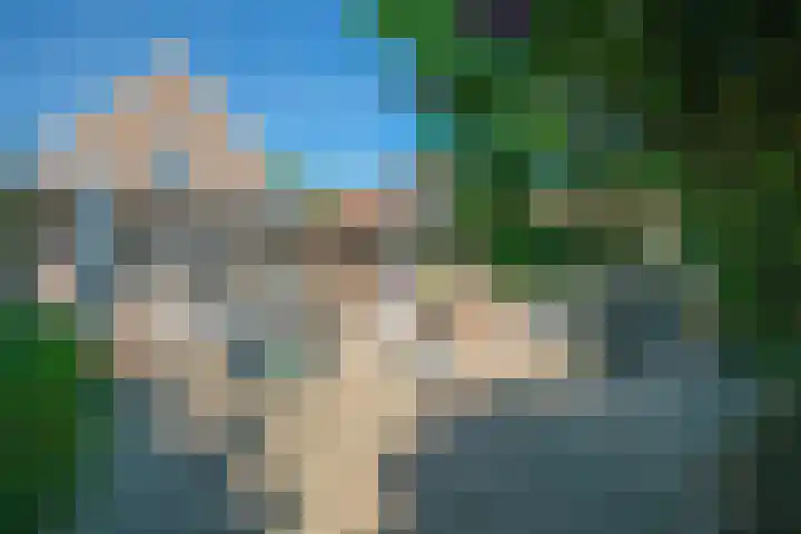 Passtraat 4 Roosteren thumbnail 33