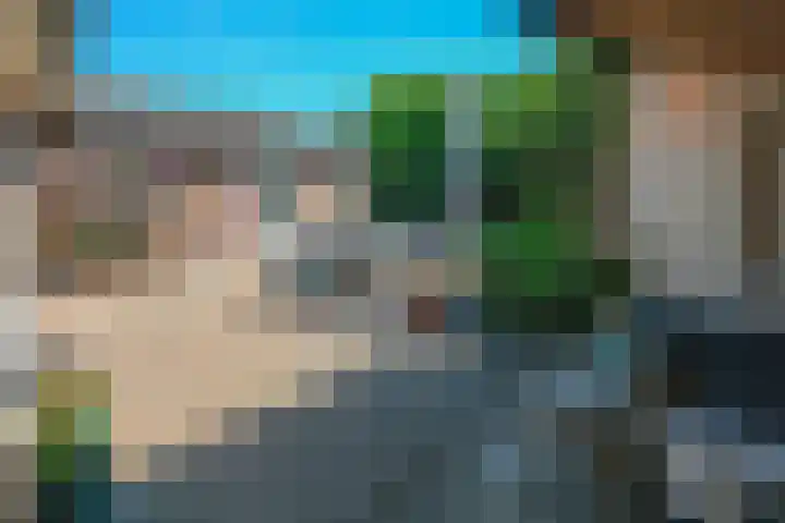 Passtraat 4 Roosteren thumbnail 34