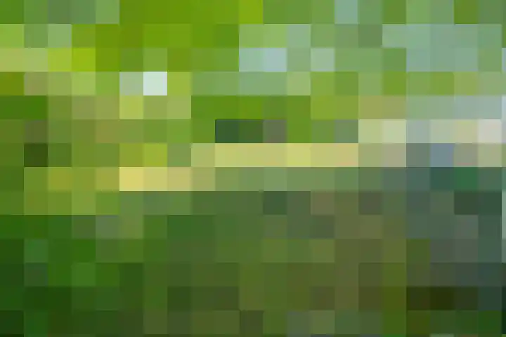 Passtraat 4 Roosteren thumbnail 36