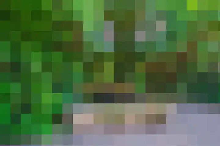 Passtraat 4 Roosteren thumbnail 37