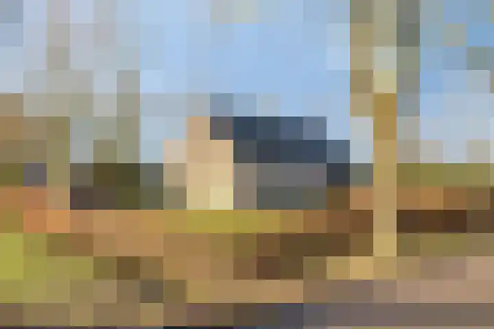 Past. Clercxstraat 3 Veghel thumbnail 8