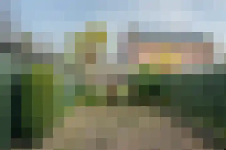 Past. Notermansstraat 4 Meterik thumbnail 36