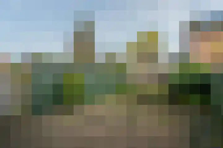 Past. Notermansstraat 4 Meterik thumbnail 37