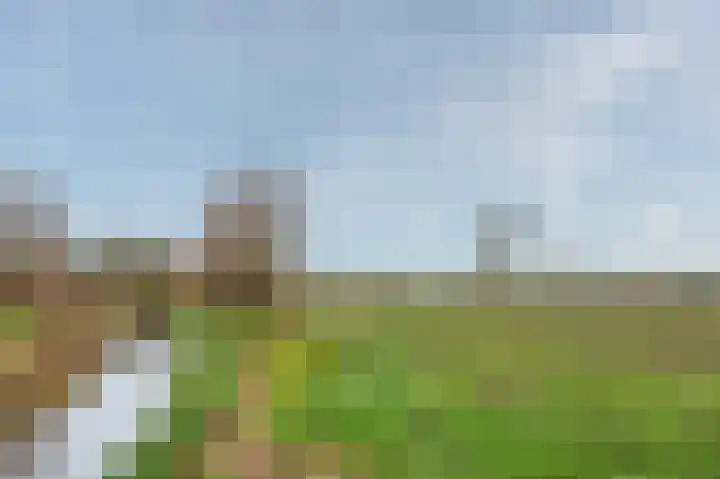 Past. Notermansstraat 4 Meterik thumbnail 44