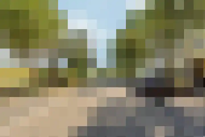 Pastelstraat 64 Almere thumbnail 51