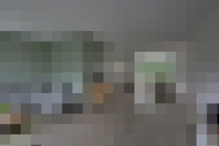 Pasteurhage 7 Emmeloord thumbnail 12