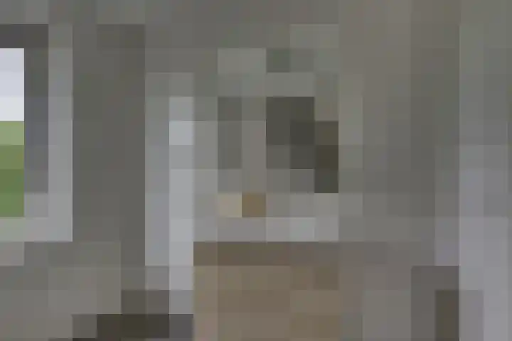 Pasteurhage 7 Emmeloord thumbnail 27