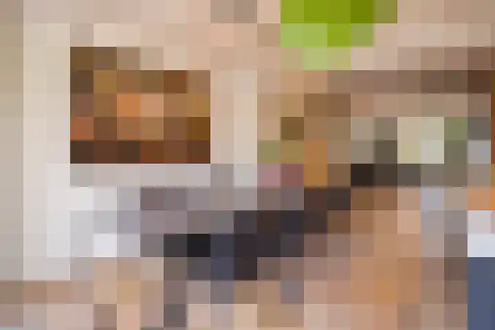 Pasteurlaan 116 Eindhoven thumbnail 14