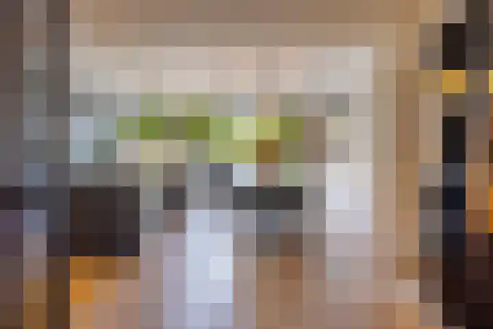 Pasteurlaan 116 Eindhoven thumbnail 15