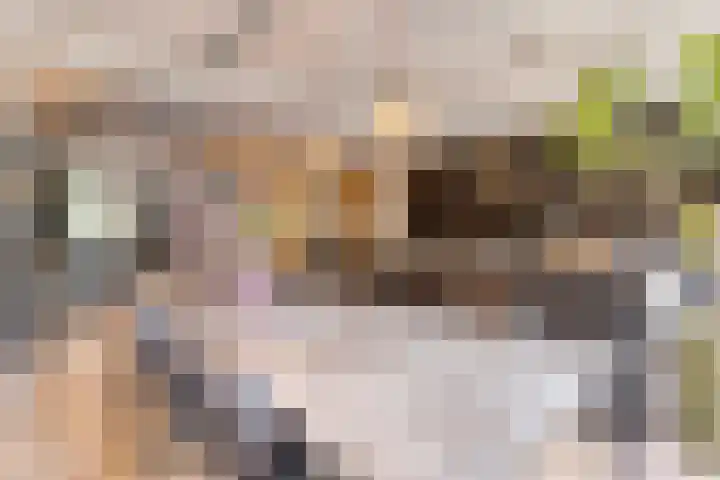 Pasteurlaan 116 Eindhoven thumbnail 17